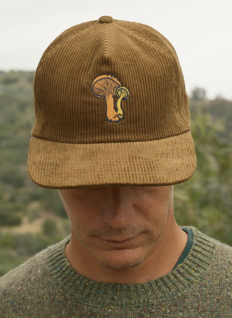 Mollusk | Crown & Cotton